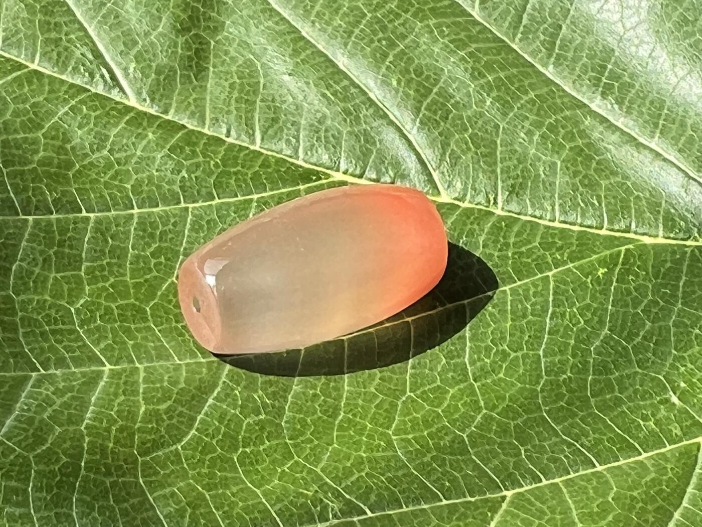 零元拍：南红玛瑙桶珠，约7克，24/18MM，颜色以实物为准。拍到的再送一斤南红鱼缸料，只多不少