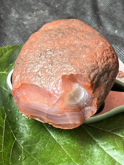 零元拍：南红玛瑙手把石。约389克，粉粉嫩嫩满朱砂，纯天然，独一无二的（天然原石不可避免有瑕疵，裂纹，介意勿拍）因为拍照环境以及光线的变化，颜色以实物为准。成品很美丽，原石亦魅力无穷。 - 零元拍：南红玛瑙手把石。约389克，粉粉嫩嫩满朱砂，纯天然，独一无二的（天然原石不可避免有瑕疵，裂纹，介意勿拍）因为拍照环境以及光线的变化，颜色以实物为准。成品很美丽，原石亦魅力无穷。