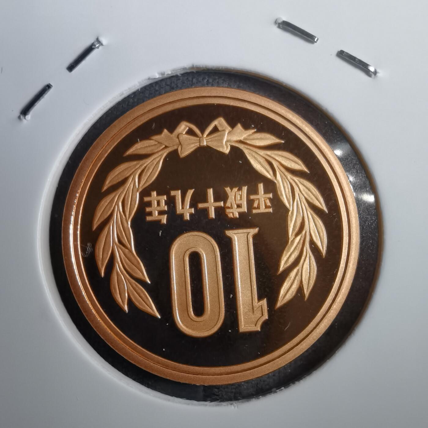 沼泽如烟--第812场