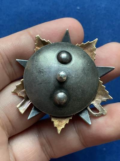 《竞宝斋》第409场 周日，周一，2场连拍 （全场包邮） 苏联1943版一级卫国勋章，含纯金8.3克左右，带证书，银质背轮，7点钟方向白珐琅有小剥皮，整体品相极美。带档案，中拍可联系索取。