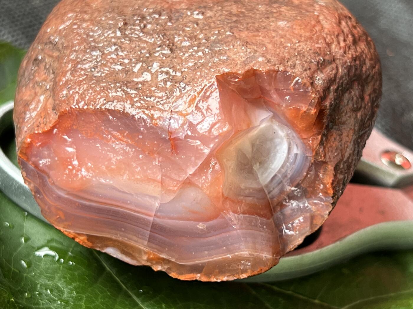 零元拍：南红玛瑙手把石。约389克，粉粉嫩嫩满朱砂，纯天然，独一无二的（天然原石不可避免有瑕疵，裂纹，介意勿拍）因为拍照环境以及光线的变化，颜色以实物为准。成品很美丽，原石亦魅力无穷。