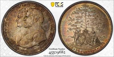 万国钱币拍卖第051期 - PCGS SP65 1893年巴伐利亚摄政王利奥波德世子结婚25周年及其子嗣2泰勒型大银章 和利奥波德大桥同系列 原味渐变七色彩虹包浆极赞 顶级BU收藏品质