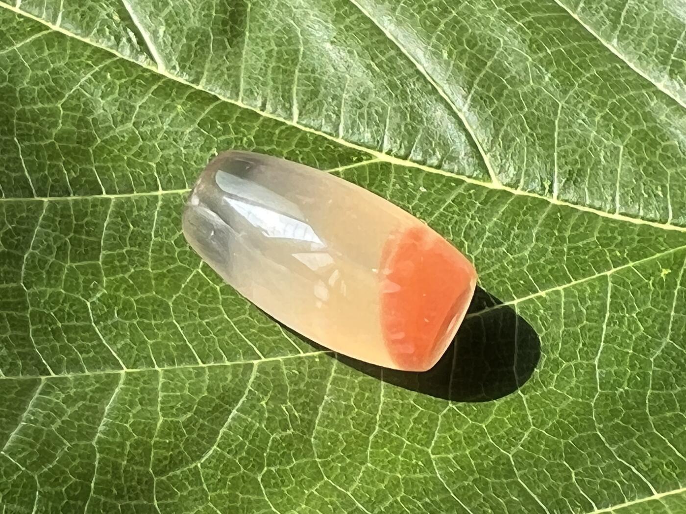 零元拍：南红玛瑙桶珠，约7克，24/18MM，颜色以实物为准。拍到的再送一斤南红鱼缸料，只多不少
