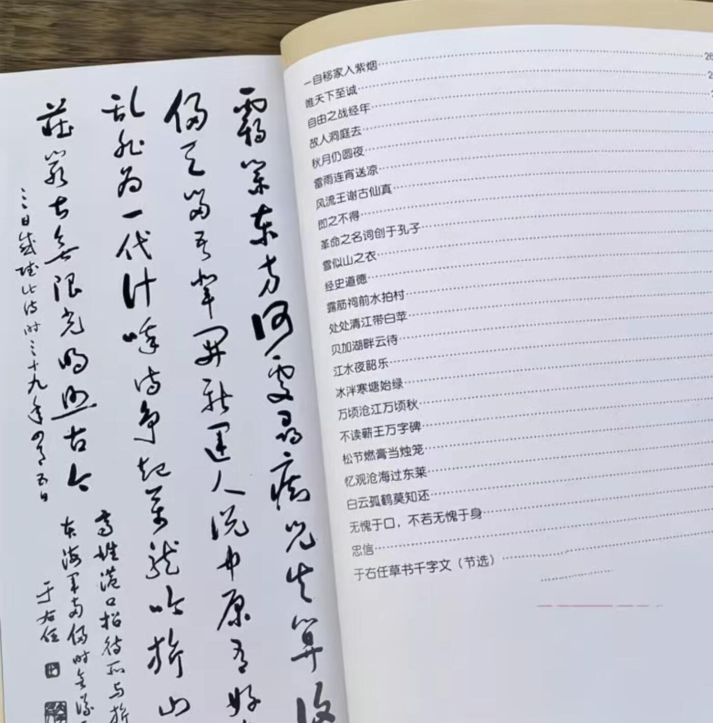 于右任书法集 上下两册