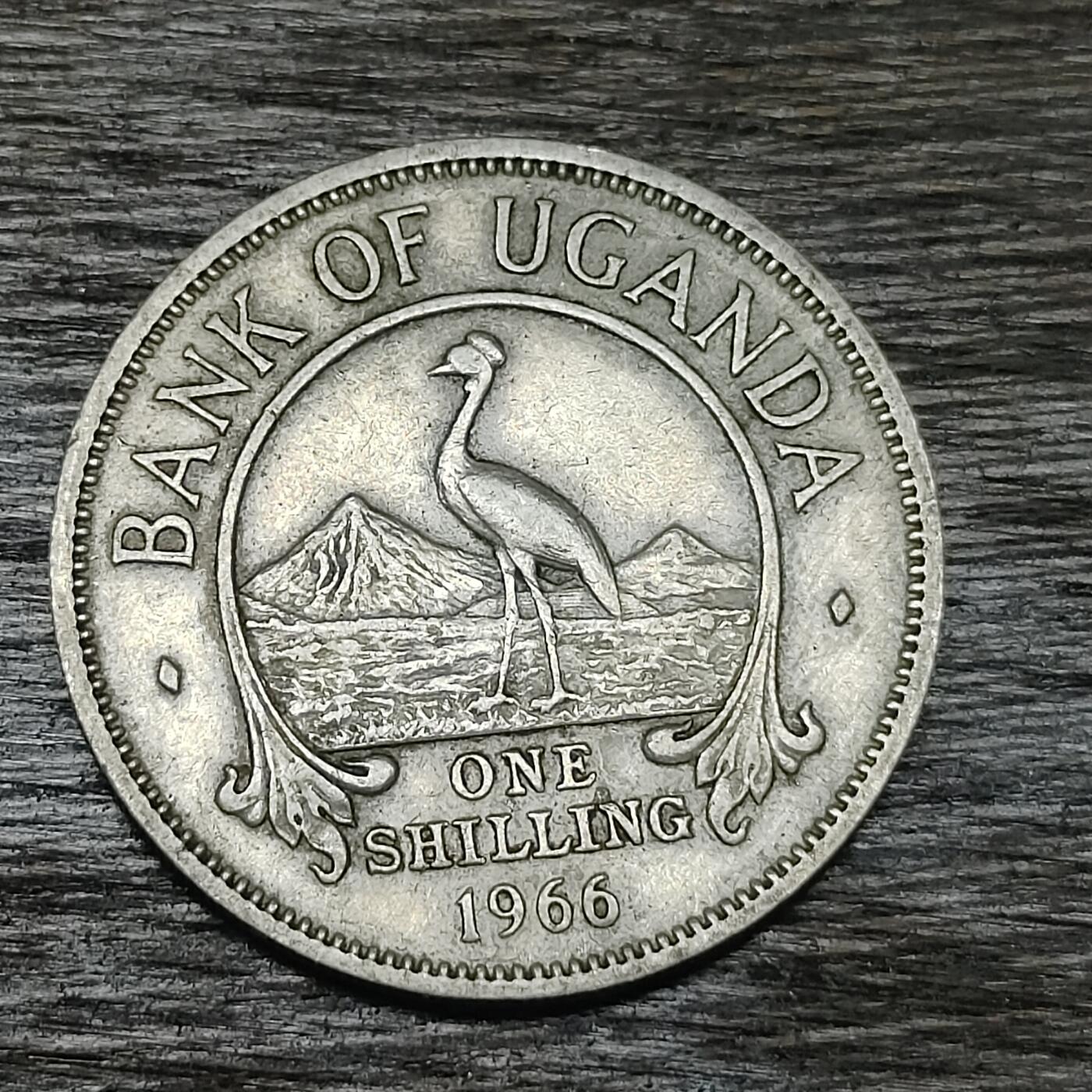 【铜匠收藏】★第130场★散币场，无佣金，30包邮。不满30元，支付5元运费。《接受代拍 代送NGC评级》 乌干达 1966年 1先令