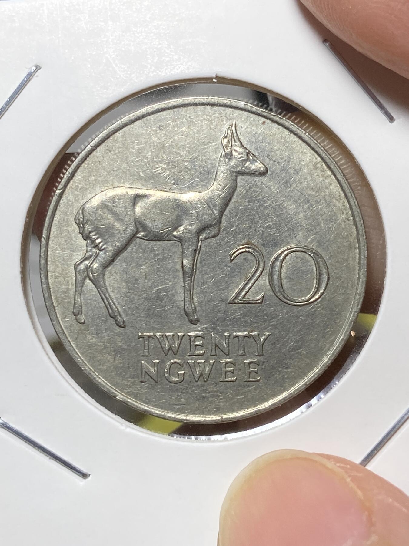 2025年第八十一场(总第一百零七场）外国好品散币(免佣金) 赞比亚🇿🇲1988年20恩韦(独立后第二套，关门年)