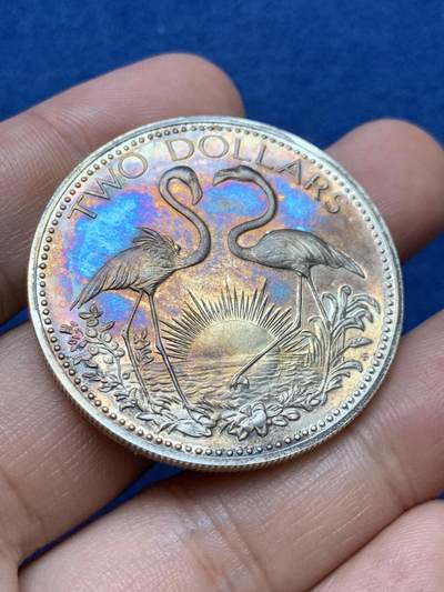 《竞宝斋》第410场 周日，周一，2场连拍 （全场包邮） 巴哈马1974年火烈鸟2元 银币 925银