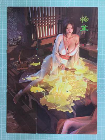 C先生卡牌 第10期 人间传·魂姬三国·五虎征鸾·海利温(持续收拍品中...) - 【九拼】燎原×刷子《人间传》杨芷