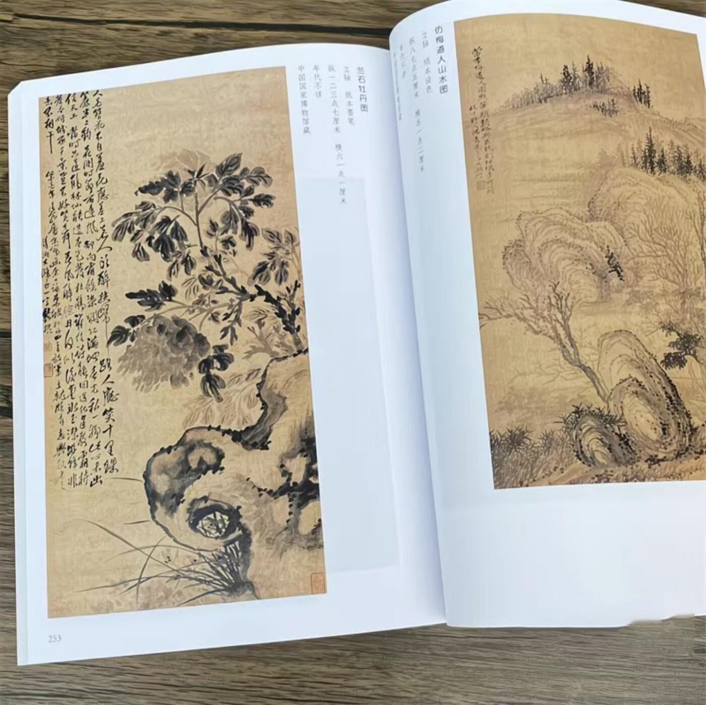 杂相专场