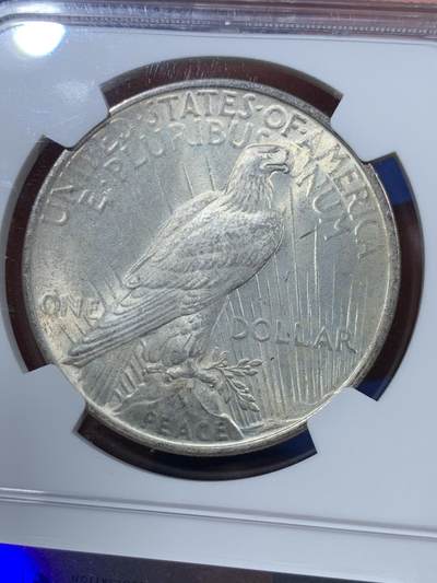 《竞宝斋》第410场 周日，周一，2场连拍 （全场包邮） NGC MS64 美国1922年和平女神1美元银币，浅包浆状态非常舒服