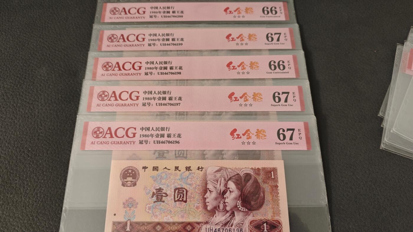 PMG靓号专场 801红金龙标十