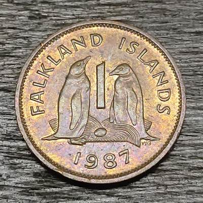 【铜匠收藏】★第129场★散币场，无佣金，30包邮。不满30元，支付5元运费。《接受代拍 代送NGC评级》 - 福克兰群岛 1987年 1便士