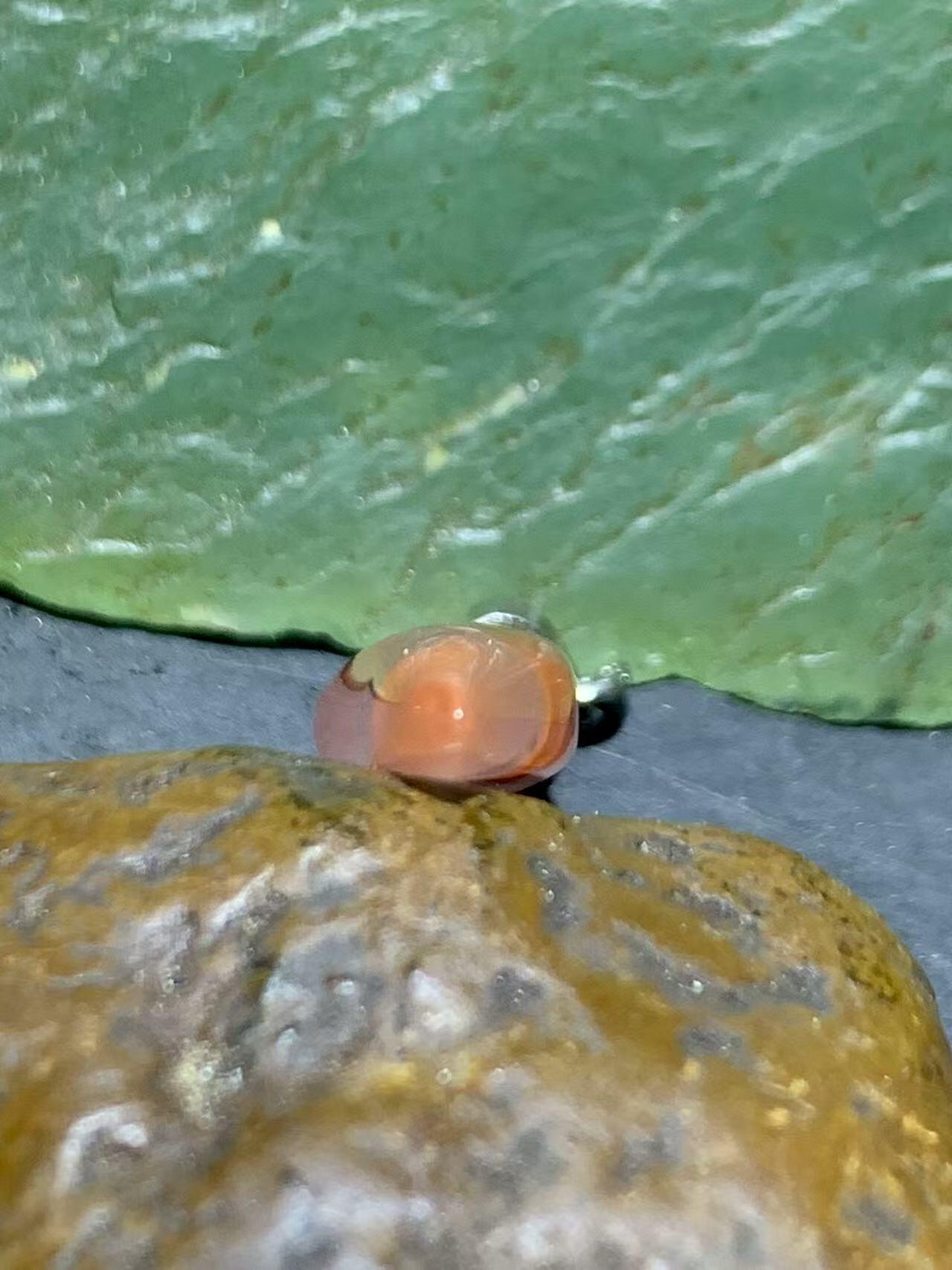 南红玛瑙荔枝冻飘火焰纹随形牙通货吊坠一个