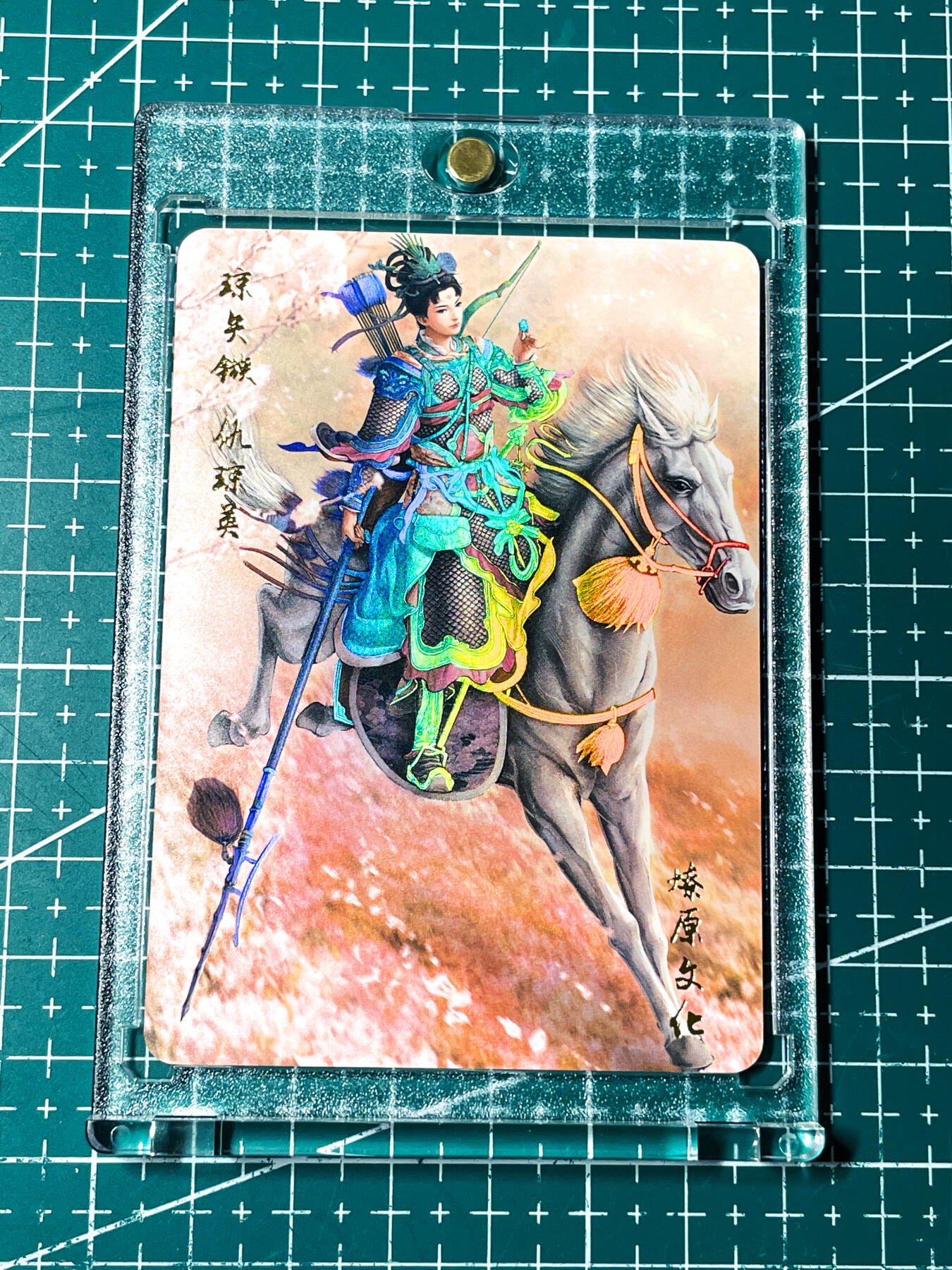 显眼宝28期【关注参拍有赠卡】