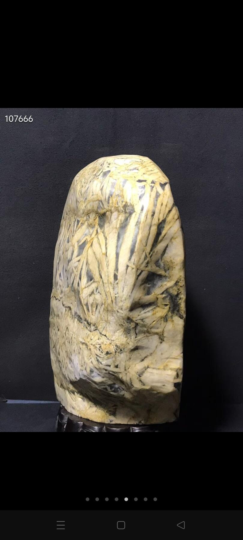 大竹叶 凸叶赏石，摆件 纯天然无人工修饰 全品