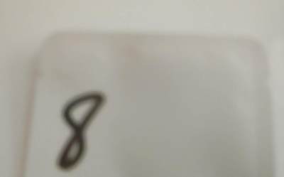 盲袋，所以钱币保真 - 8