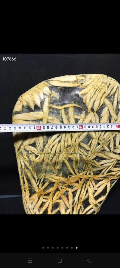 大竹叶 凸叶赏石，摆件 纯天然无人工修饰 全品 - 大竹叶 凸叶赏石，摆件 纯天然无人工修饰 全品