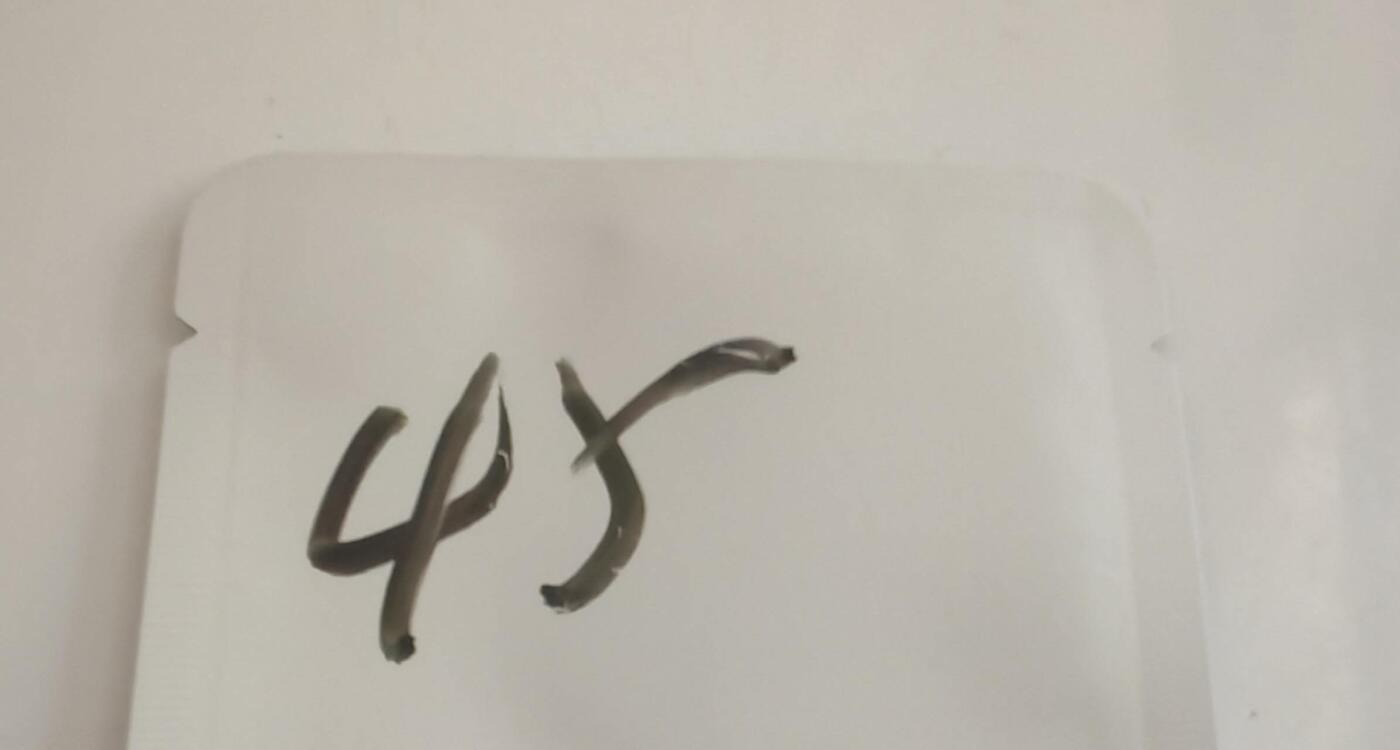 盲袋，所以钱币保真 45