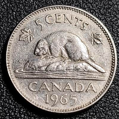 泉币菌-第92场-精品福利场 - 1965年英属加拿大 5分硬币 海狸动物 21mm 