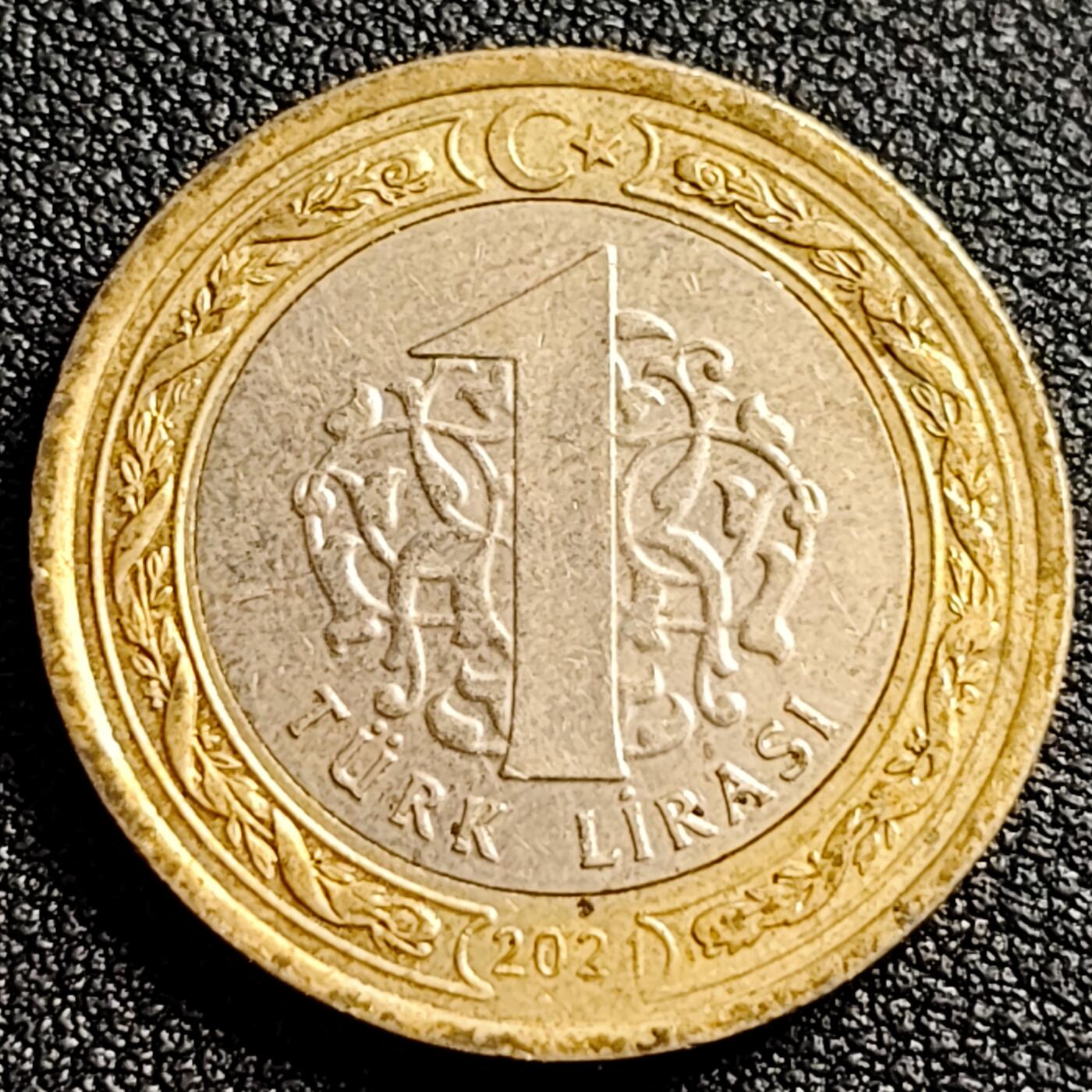 泉币菌-第91场-精品福利场 土耳其1里拉双色币 凯末尔总统 26mm