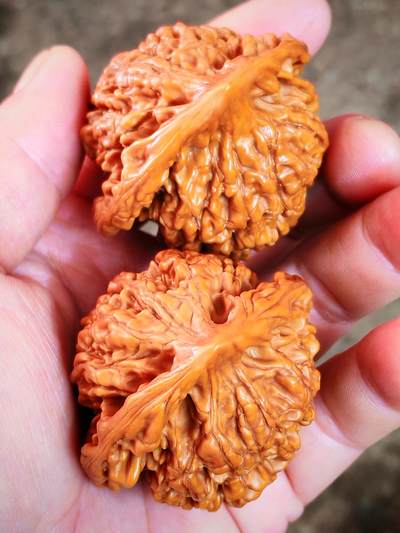 包浆麒麟纹龙鼎狮子头核桃(25036)边52.5肚47高52mm重量69.6g - 包浆麒麟纹龙鼎狮子头核桃(25036)边52.5肚47高52mm重量69.6g