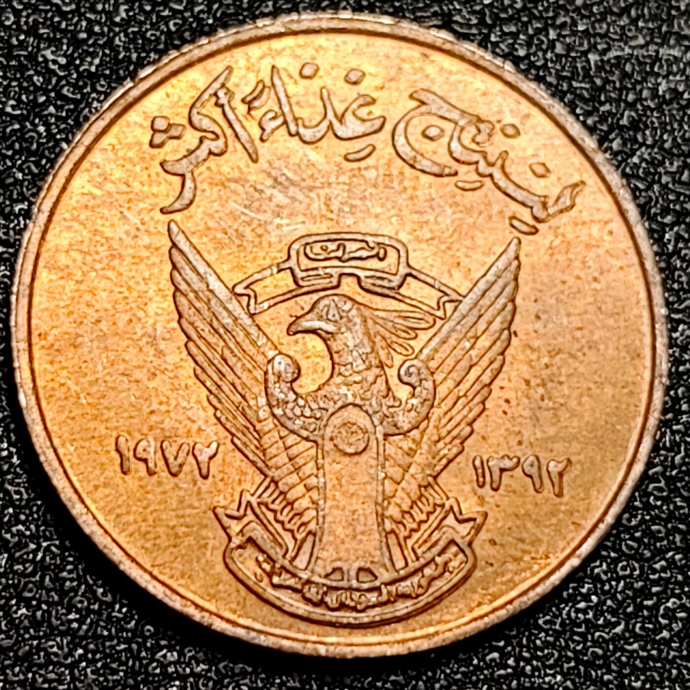 泉币菌-第92场-精品福利场 原铜光极美品 苏丹5米利姆 FAO 粮农组织 纪念币 青铜币 硬币 21.5mm