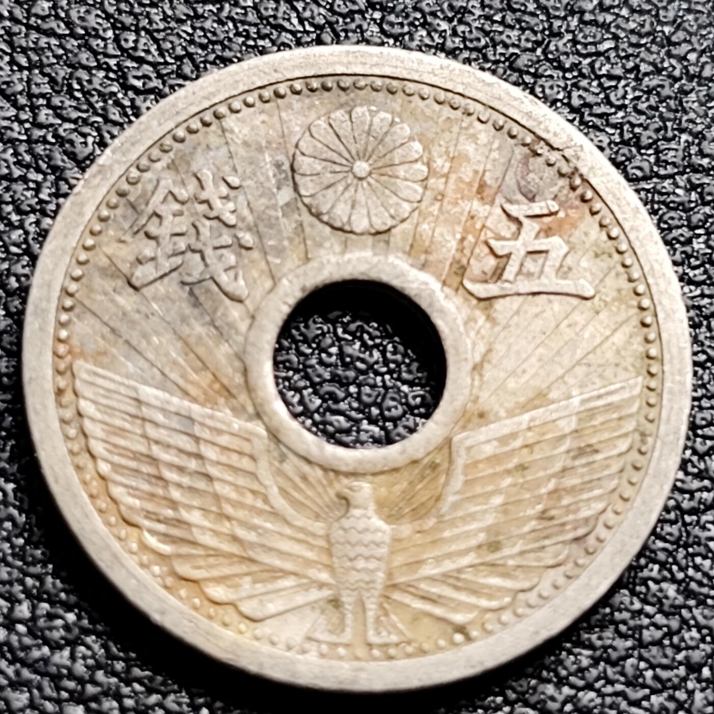 泉币菌-第91场-精品福利场 日本 中孔镍五钱 二战前期 昭和十一年 1936年 