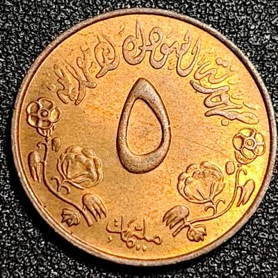 泉币菌-第92场-精品福利场 - 原铜光极美品 苏丹5米利姆 FAO 粮农组织 纪念币 青铜币 硬币 21.5mm