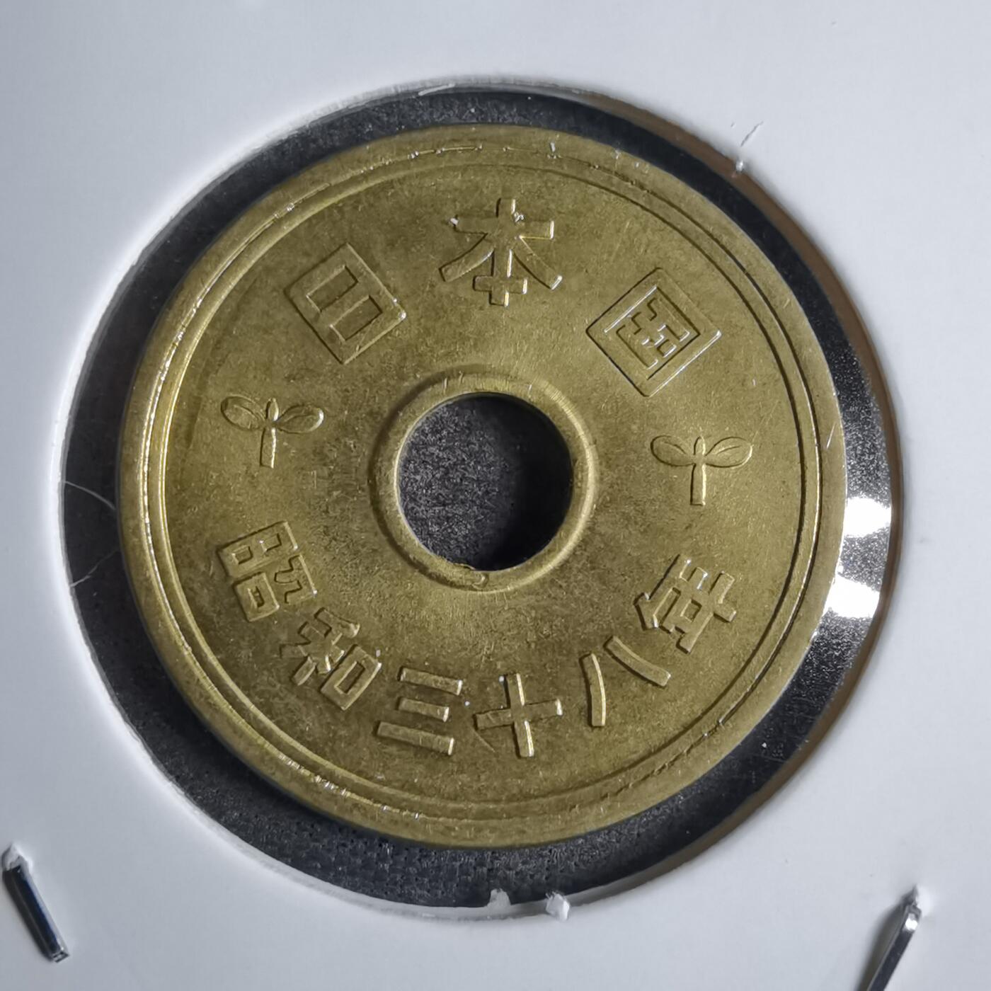 沼泽如烟--第813场