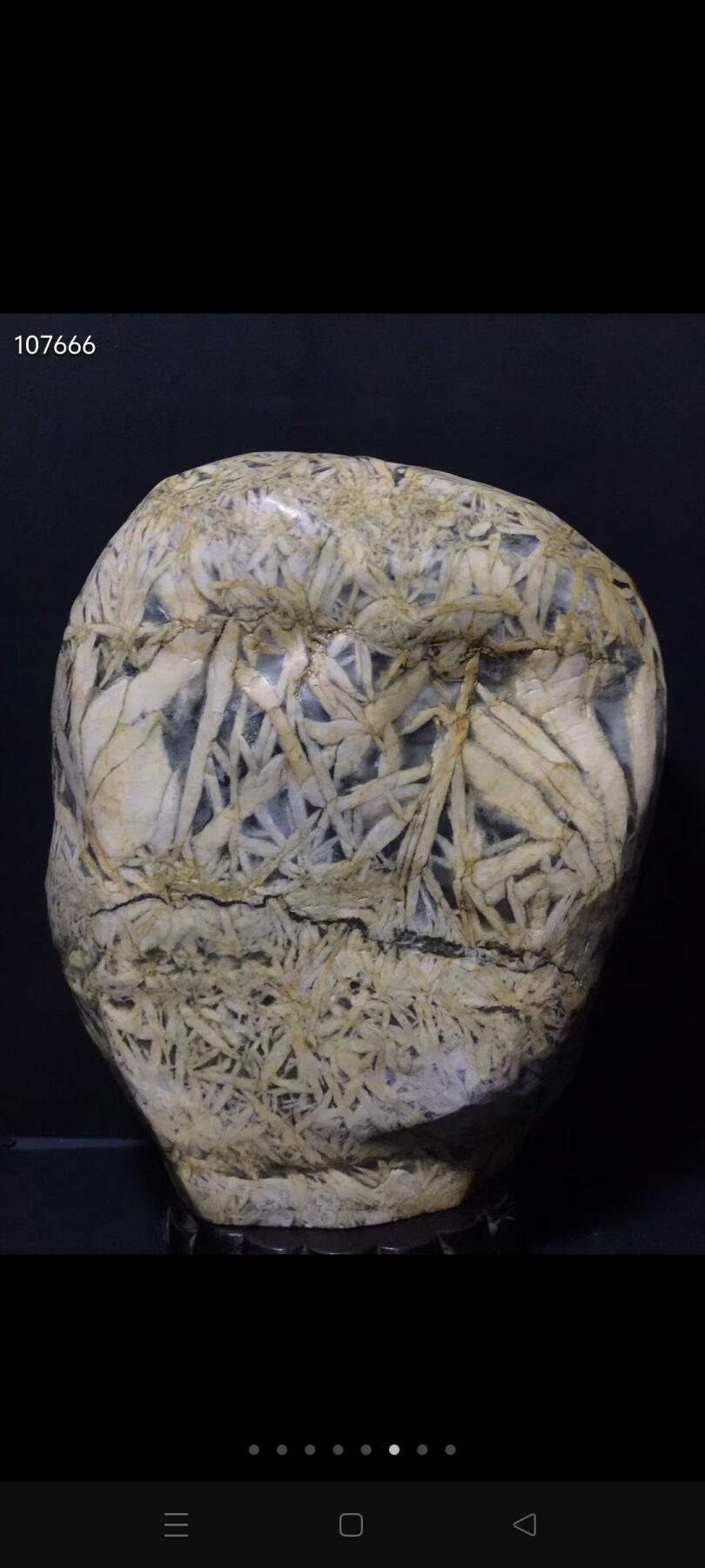 大竹叶 凸叶赏石，摆件 纯天然无人工修饰 全品