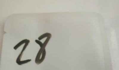盲袋，所以钱币保真 - 28
