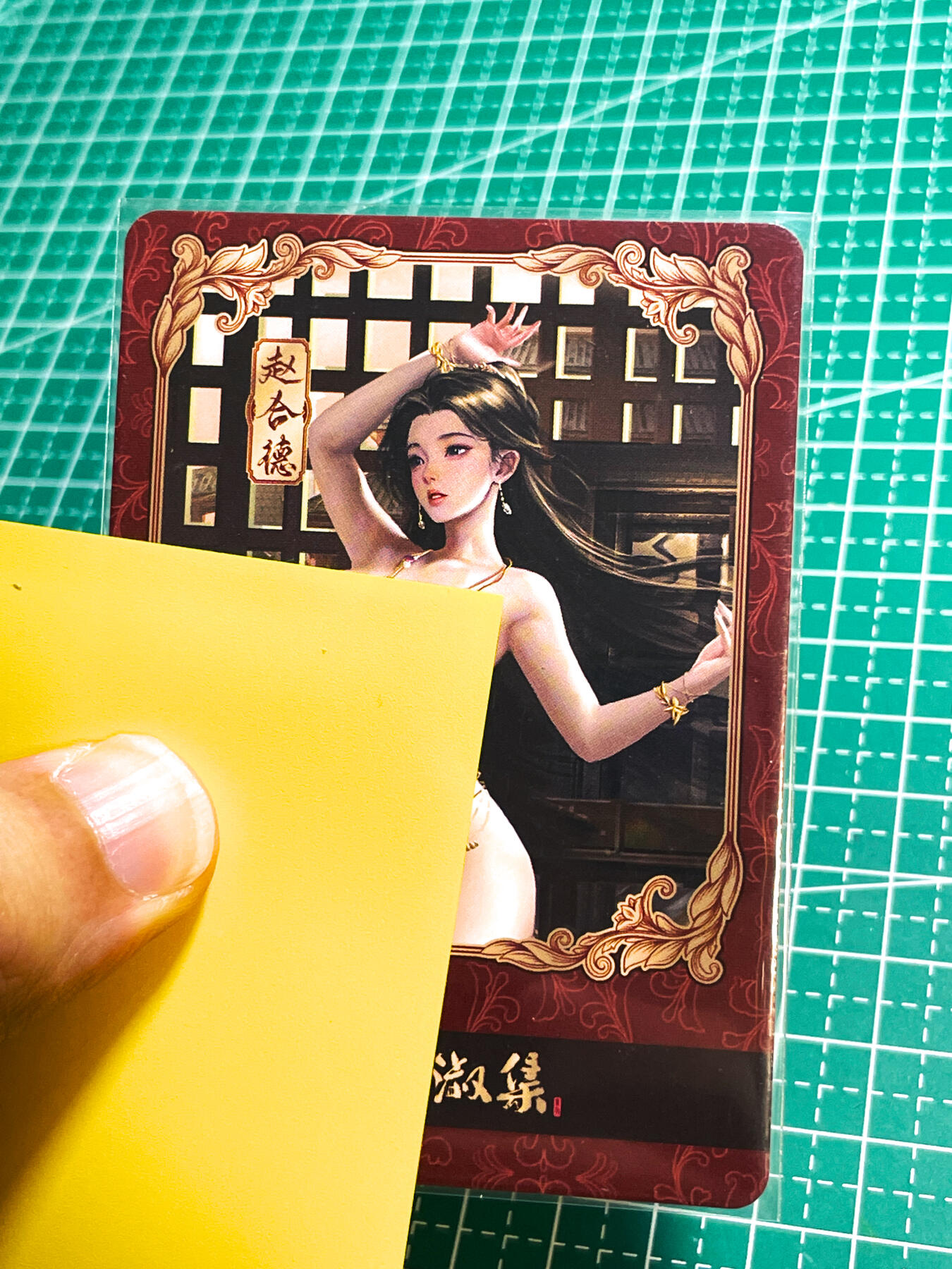 显眼宝28期【关注参拍有赠卡】