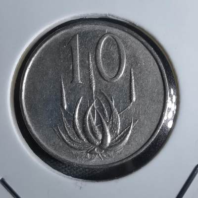 沼泽如烟--第815场 - 南非1966年十分
