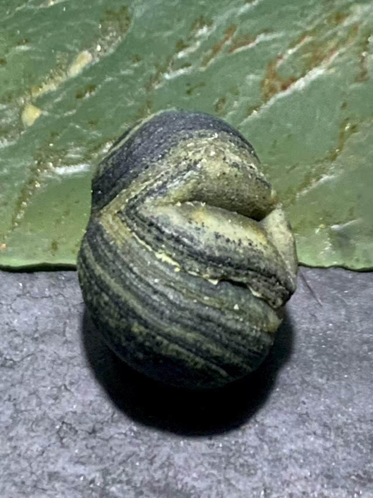 精美罕见满绿眼石原石珠子一颗，
