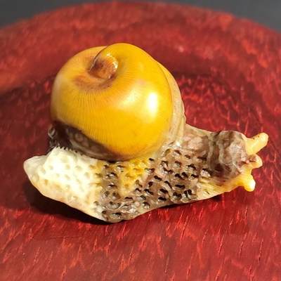 希腊罗马丝路打制币化石【中外钱币放漏】专场！陆小鱼的钱币仓，限时拍卖第075场 - 精品太阳花有机宝石 4.5亿年前全玉化珊瑚化石原料 天然黄料 蜗牛化石雕刻摆件28.6g