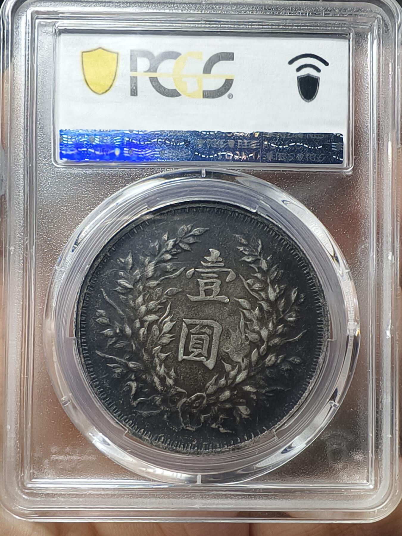 老银元专场（少量铜钱铜元） 云南版大头，pc评级xf40