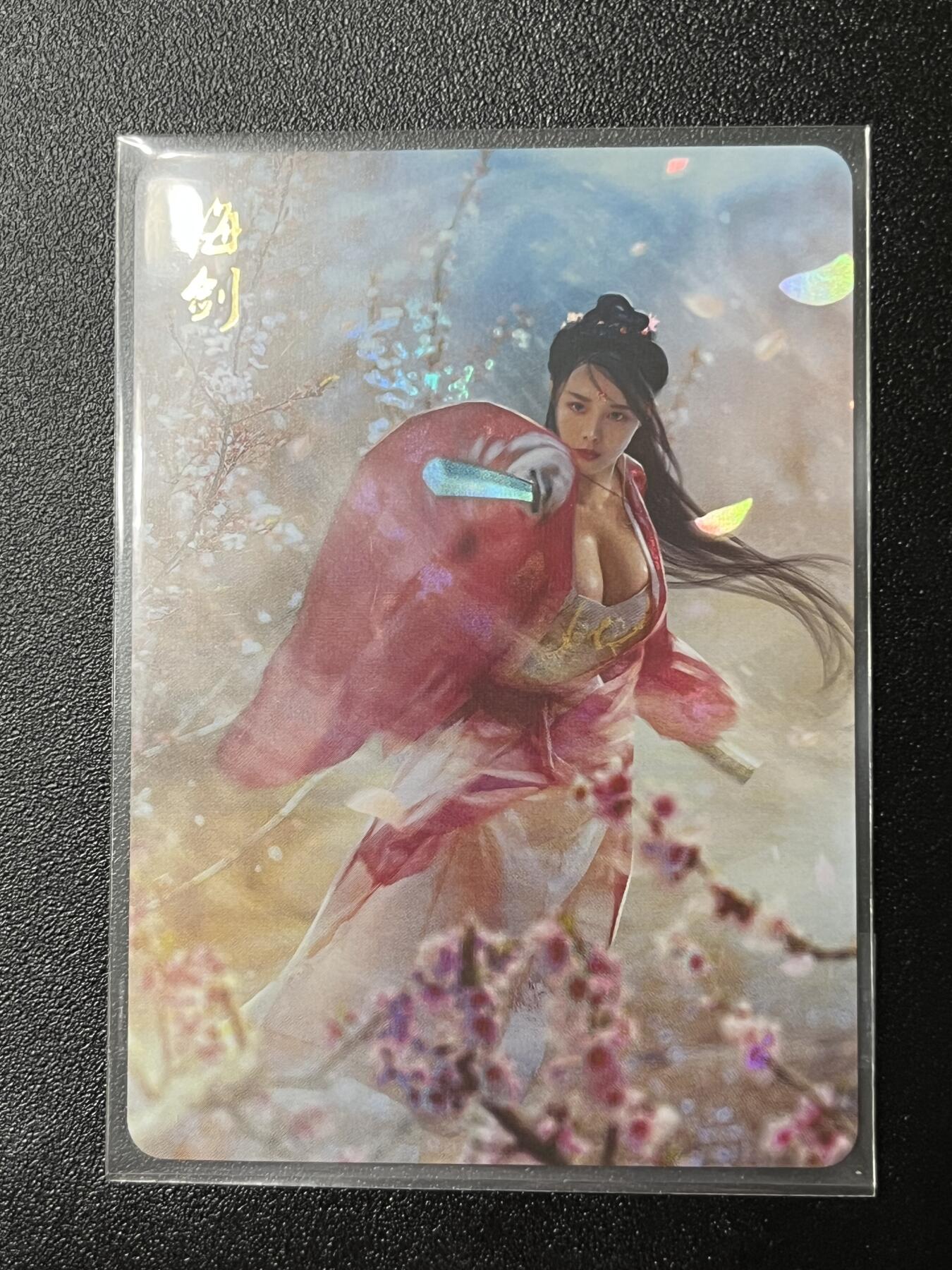 跨世纪的玩卡者们第2期（No.390之前基本为小浣熊水浒卡） 燎原武林志 梅剑