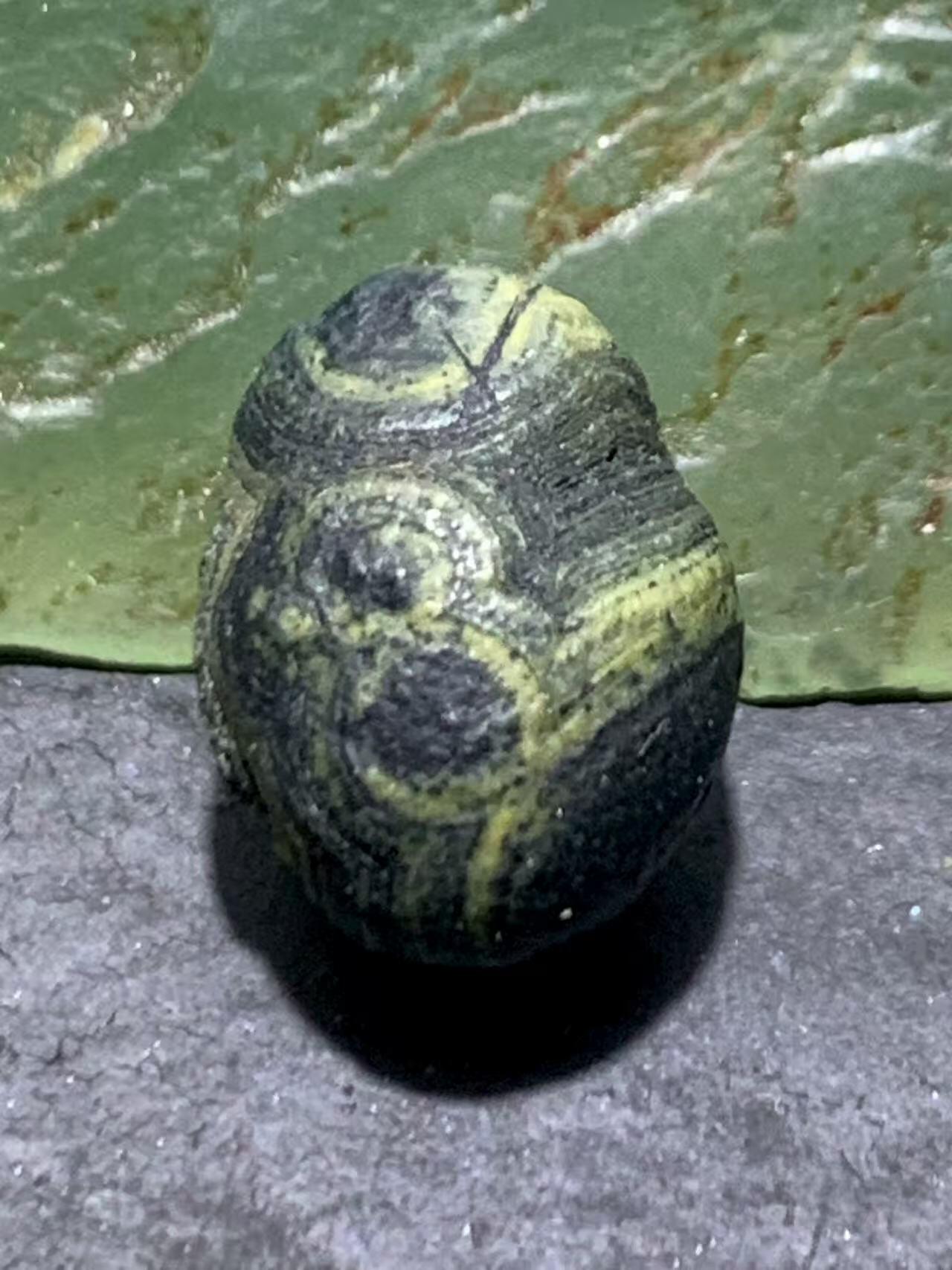 精美罕见满绿眼石原石珠子一颗，