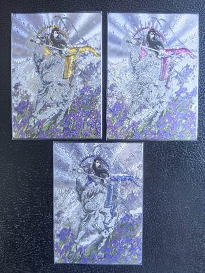 阳大大卡牌拍卖第68期（持续收拍品，周五晚上九点截拍，进群福利早知道） - 卡德曼 忠义水浒扈三娘三色粗闪 一组3张