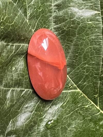 零元拍：南红玛瑙冰飘戒面。尺寸：约5.4克，26/16/8MM，凉山联合冰飘料，满荧光，红色飘花非常漂亮颜色以实物为准。拍中即送一斤南红鱼缸练手料，只多不少。 - 零元拍：南红玛瑙冰飘戒面。尺寸：约5.4克，26/16/8MM，凉山联合冰飘料，满荧光，红色飘花非常漂亮颜色以实物为准。拍中即送一斤南红鱼缸练手料，只多不少。