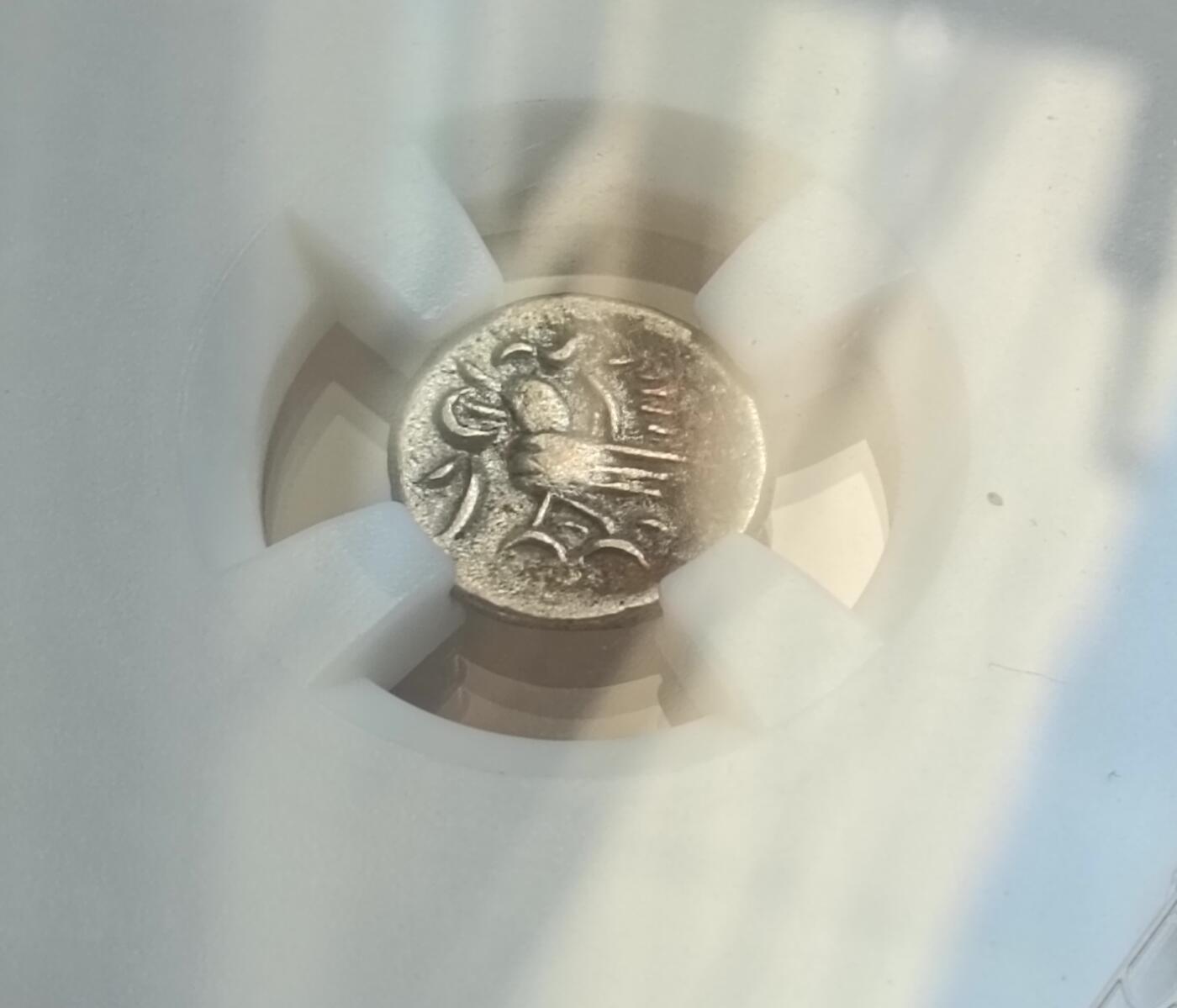 瓶子🏺第204期拍卖会