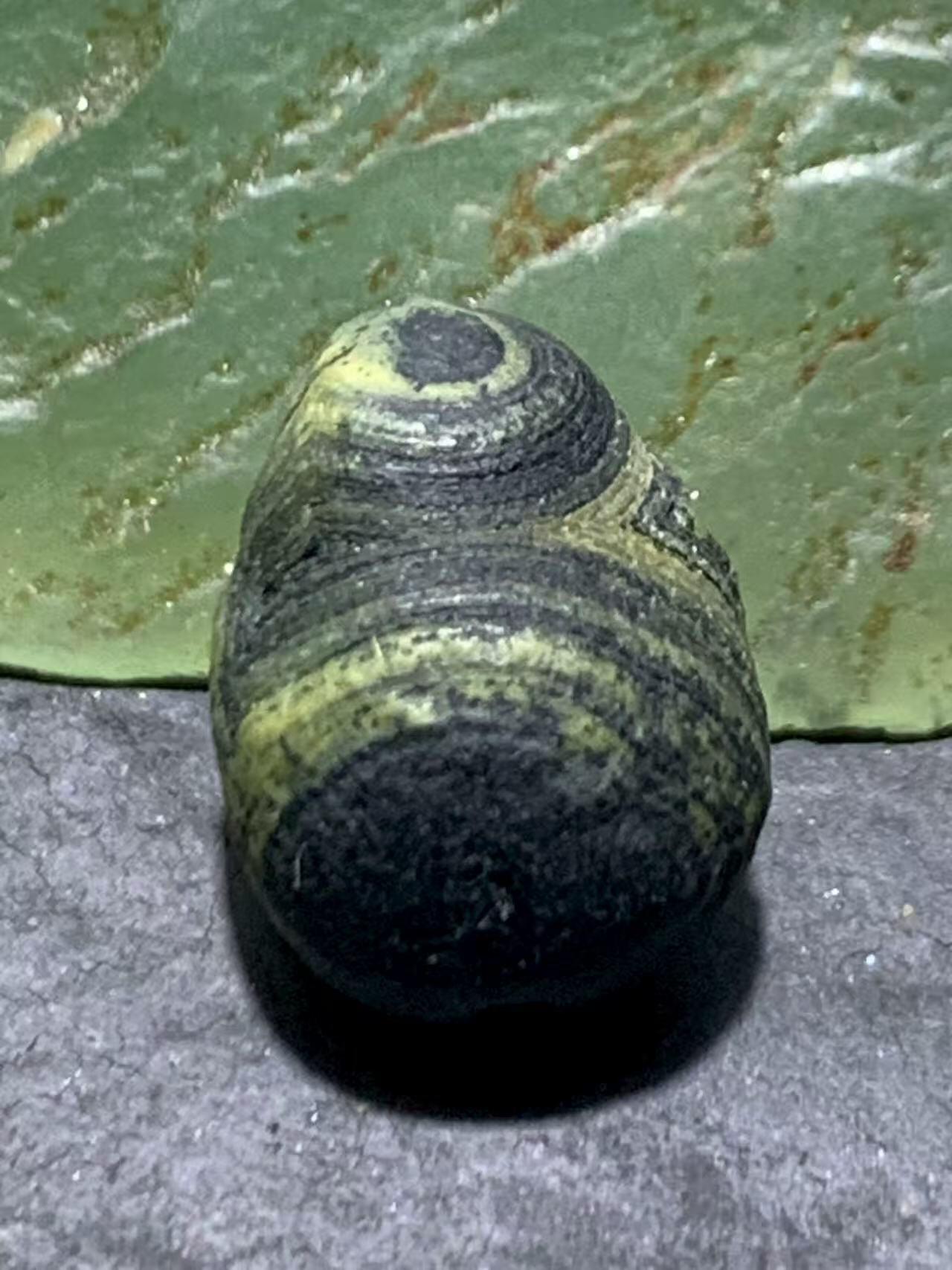 精美罕见满绿眼石原石珠子一颗，