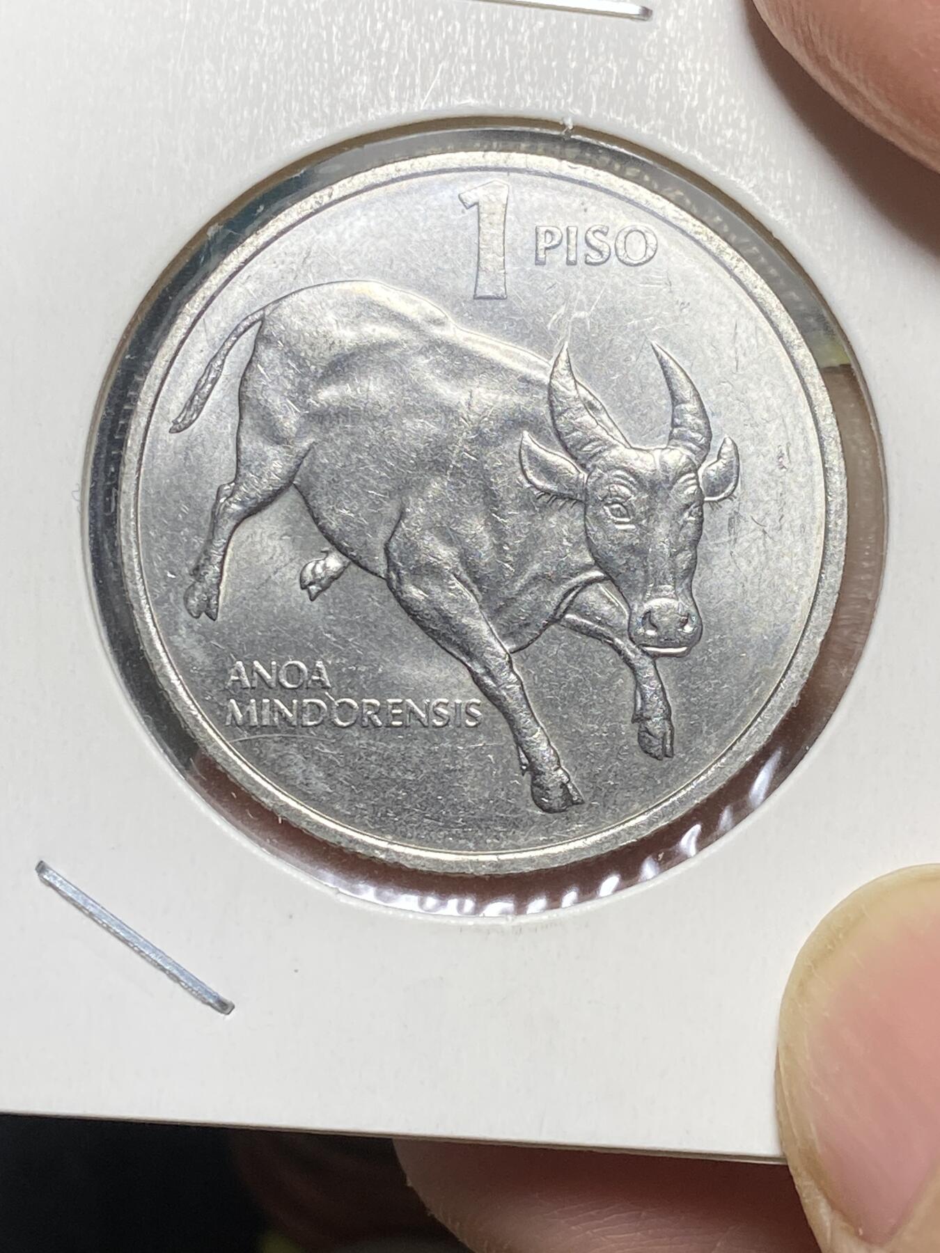 2025年第八十一场(总第一百零七场）外国好品散币(免佣金) 菲律宾🇵🇭1990年1比索(共和国第四套流通硬币第二版，较小的图例关门年仅发行2年，KM#243.3)