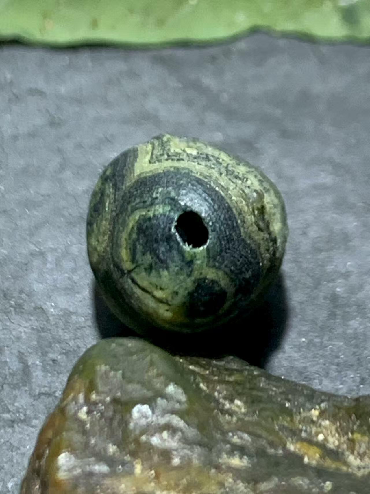 精美罕见满绿眼石原石珠子一颗，