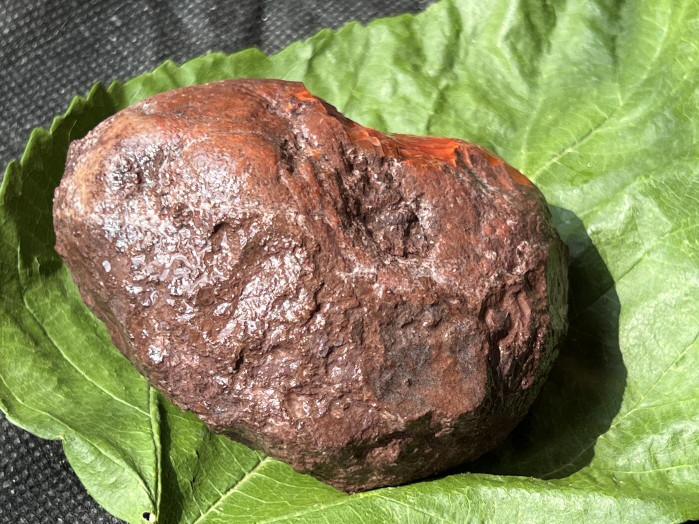 零元拍：南红玛瑙手把石，联合料。321克大料，纯天然，独一无二的（天然原石不可避免有瑕疵，裂纹，介意勿拍）因为拍照环境以及光线的变化，颜色以实物为准。成品很美丽，原石亦魅力无穷。