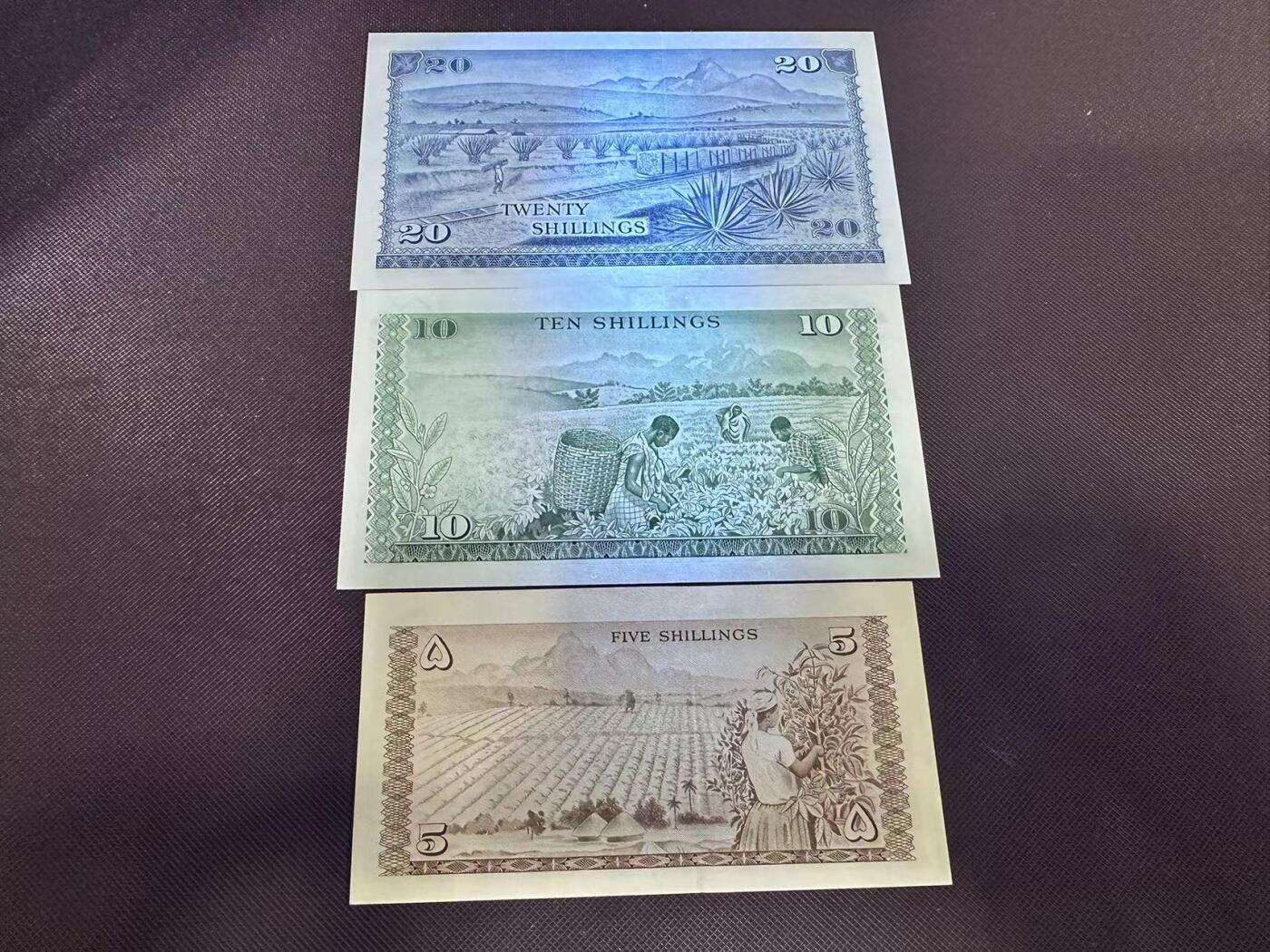 喜羊羊钱币收藏2025第9期(普品场) 肯尼亚1973年20unc 1974年10unc  1968年5au+  非洲肯尼亚珍品版本  不同于1978年版本 