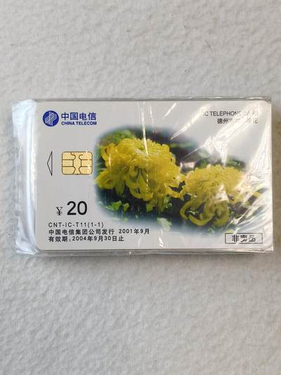 易卡拍卖第37期 - IC—T11德州市花。DZ电总版。原封套，收藏级品相。如图所示！