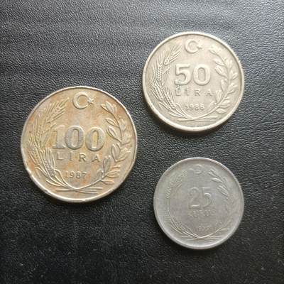 【游宝拍卖】乙巳蛇年61期 秋季先行场 零佣金起拍 - 土耳其 100 50 25里拉