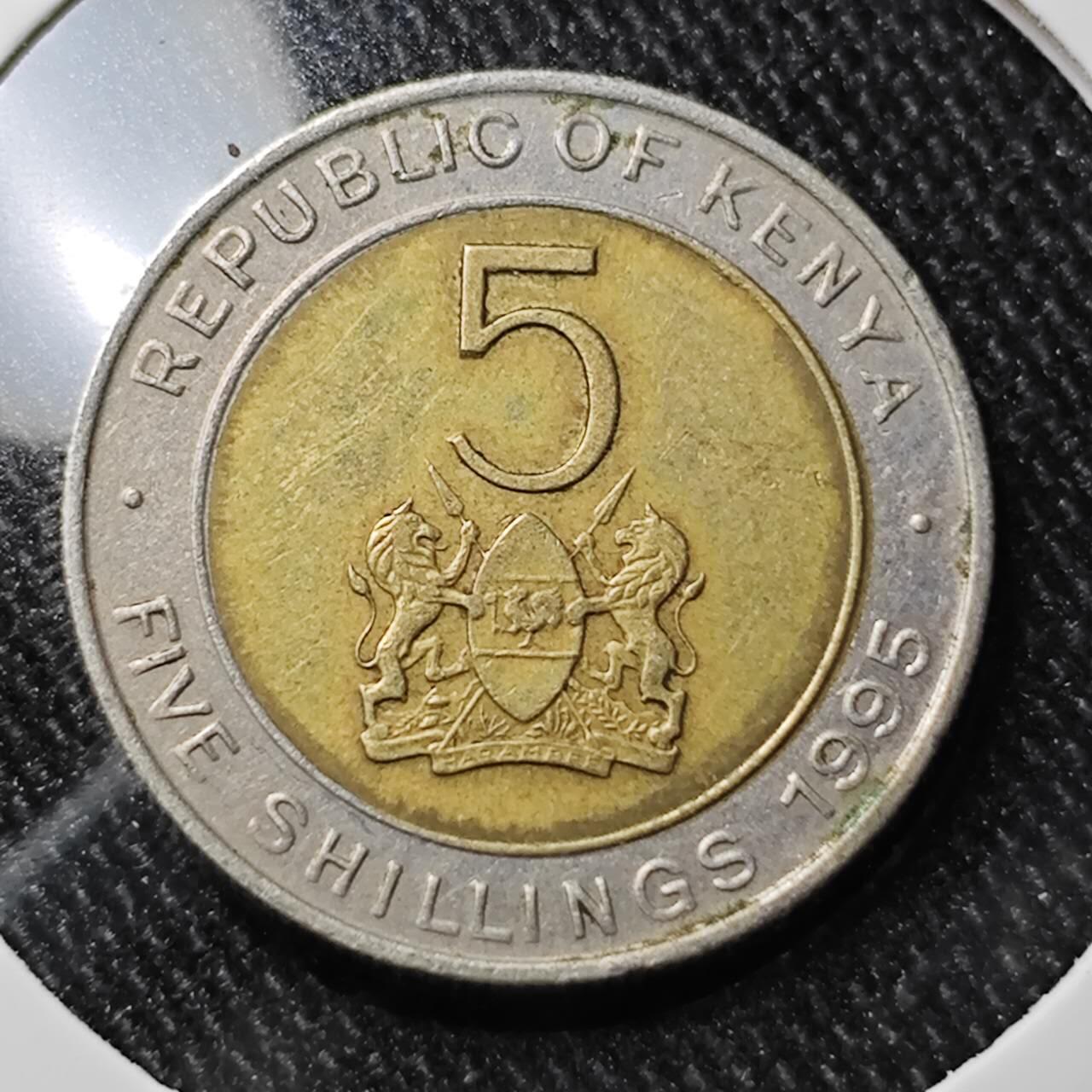 KK钱币收藏小铺 第327期 2月预留时间 周末发货