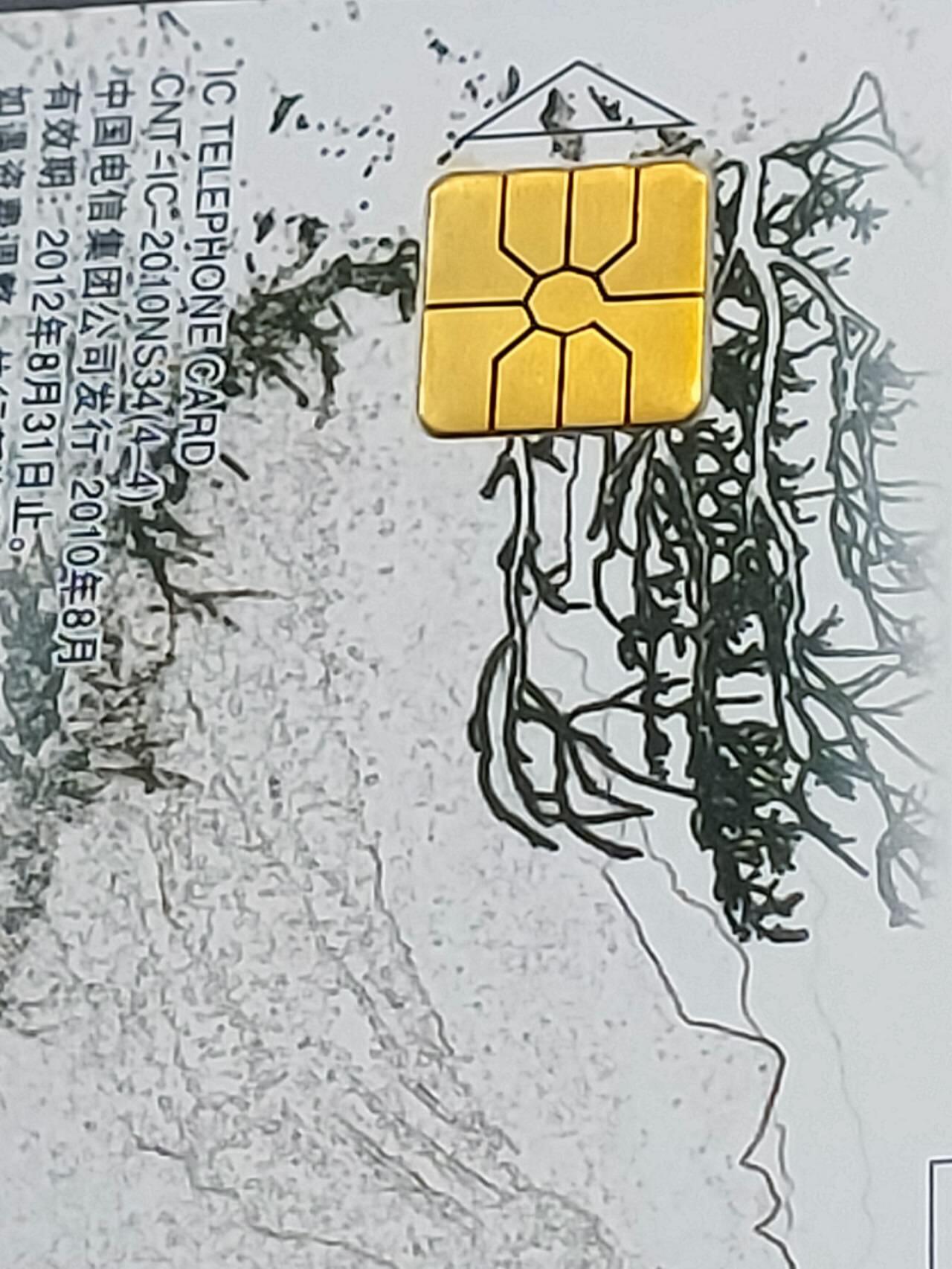公藏第120期评级卡拍卖